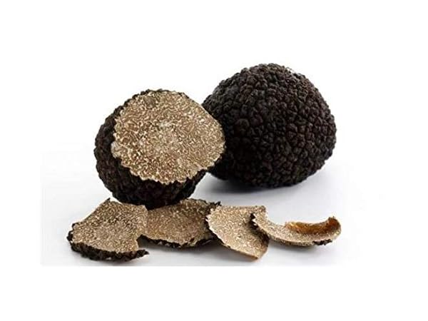 Dried White Truffles Thumbnail