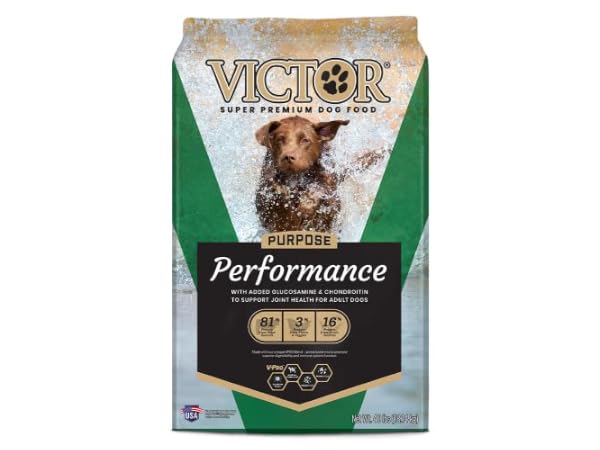 Image showcasing The 6 Best Dry Dog Food for Hip and Joint Support of 2025 (Reviews ...