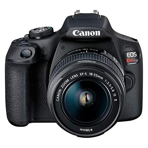 DSLR Cameras