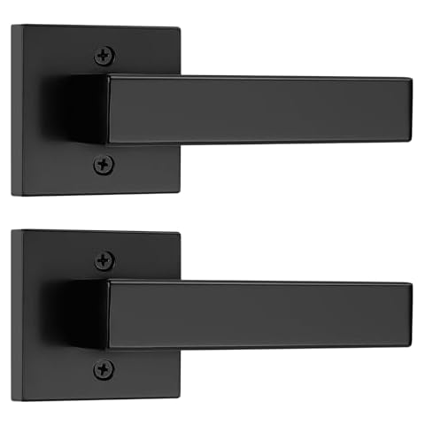 Dummy Door Levers