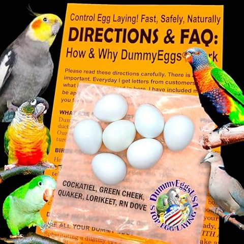 DummyEggs thumbnail