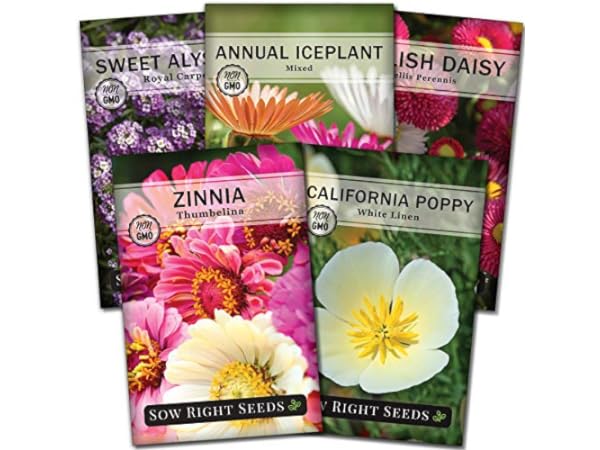 The 10 Best Dwarf Flower Seeds of 2024 (Reviews) - FindThisBest