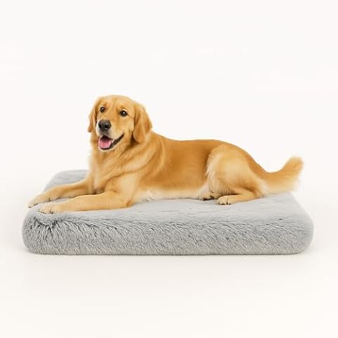 Eco-Friendly Dog Beds