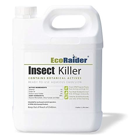 EcoRaider thumbnail