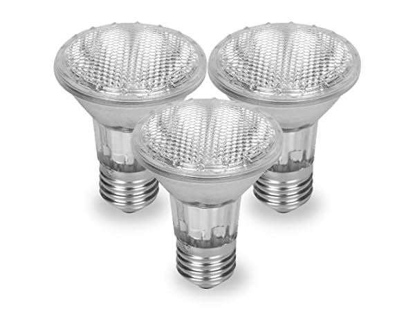 The 5 Best Edison Halogen Bulbs of 2026 (Reviews) - FindThisBest