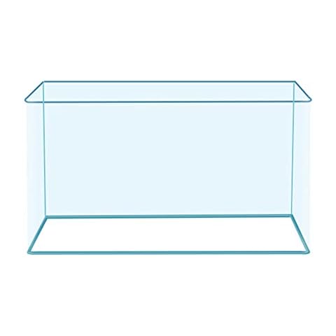 EDOTFISH thumbnail