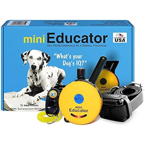 Educator thumbnail