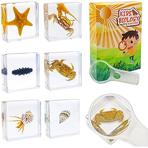 EJLIFEBOX thumbnail