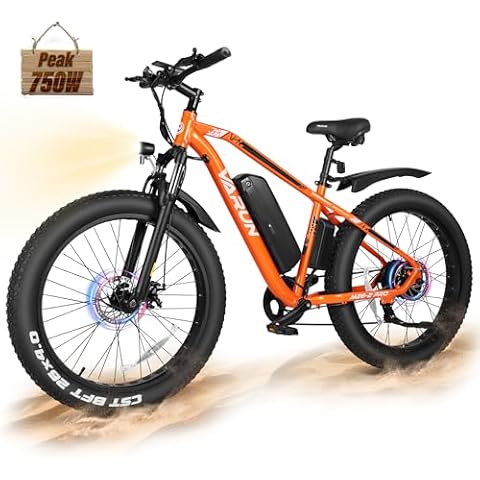 Electric Bikes for Men