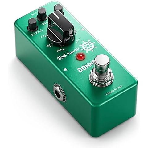Electric Guitar Delay & Reverb Effects