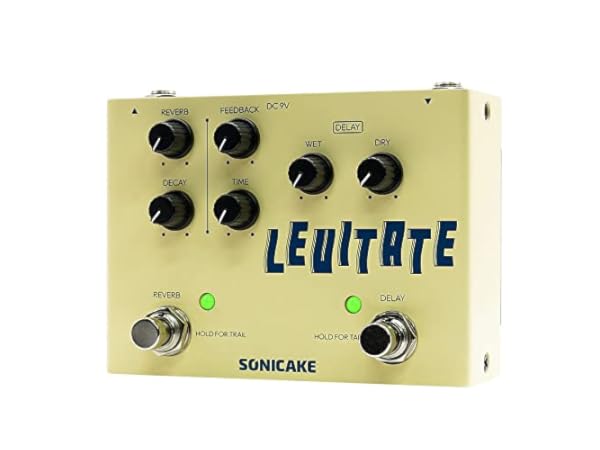 Electric Guitar Delay & Reverb Effects Thumbnail