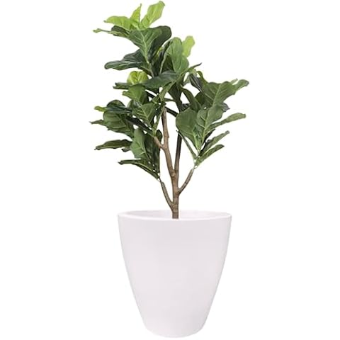 Elly Décor Review of 2024 - Planters Brand - FindThisBest