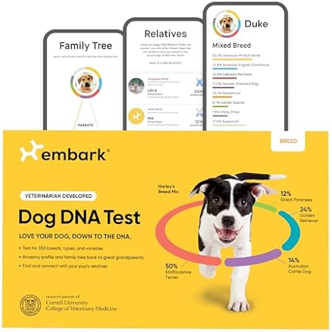 Embark thumbnail