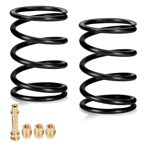 Engine Valve Springs