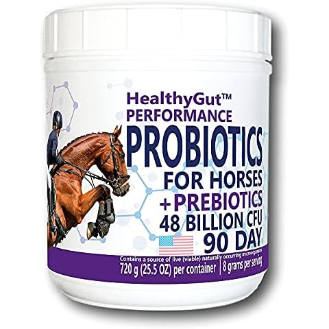 Equa Holistics thumbnail