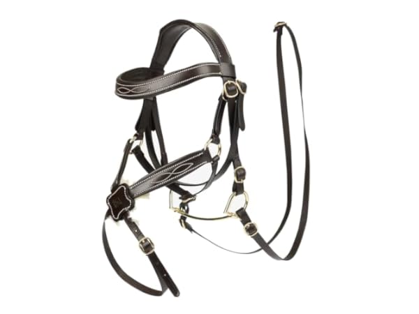 Equestrian Bridles Thumbnail