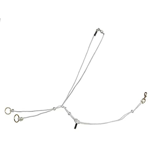 Equestrian Martingales