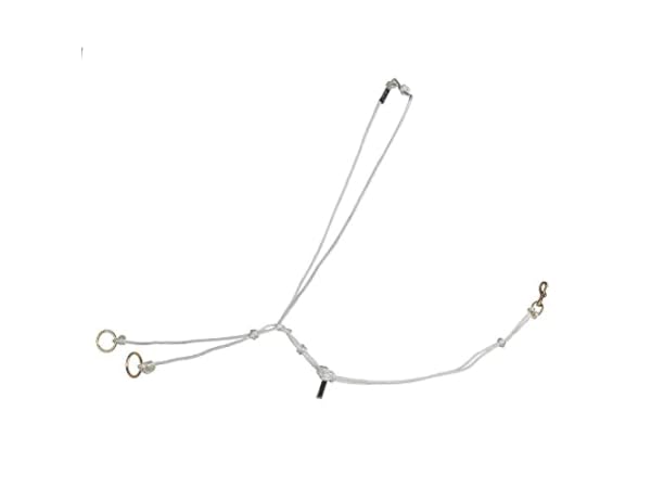 Equestrian Martingales Thumbnail