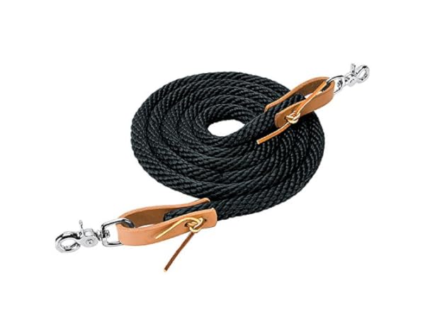 Equestrian Reins Thumbnail