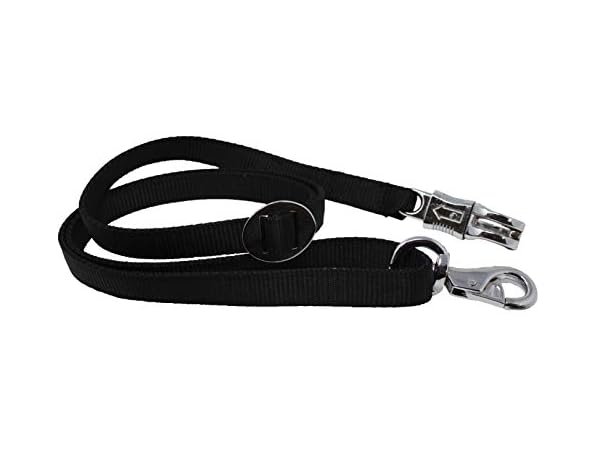 Equestrian Sports Trailers Thumbnail