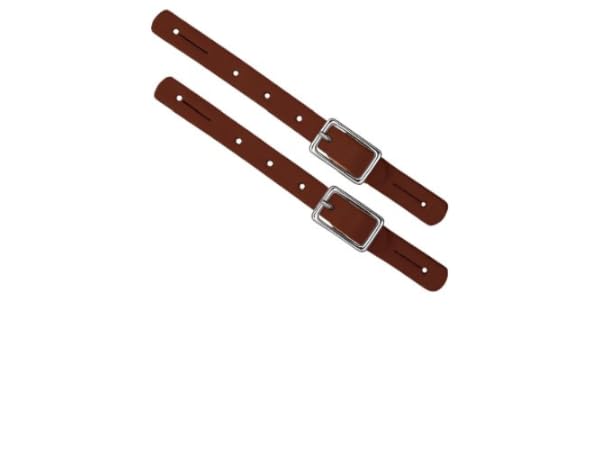 Equestrian Spurs Thumbnail