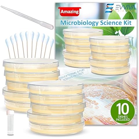 ES EVVIVA SCIENCES thumbnail