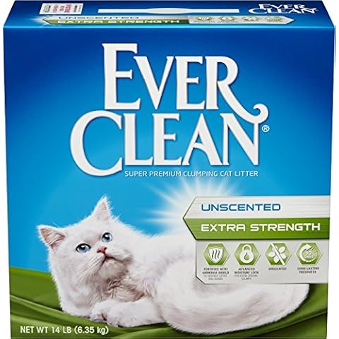 Ever Clean thumbnail
