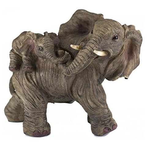 Everspring Import Company thumbnail