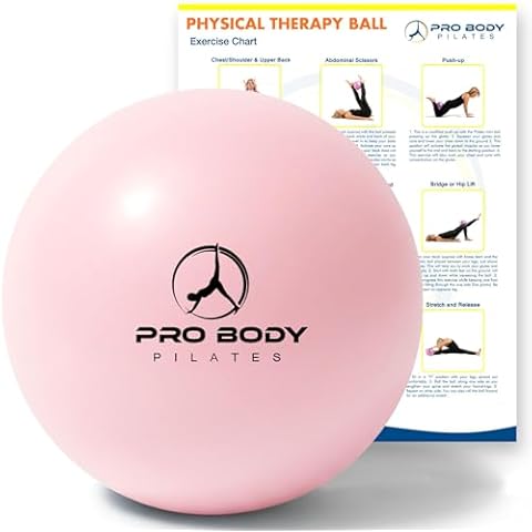 Exercise Balls with Stand