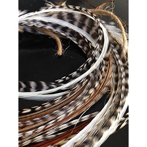 Exotic Feathers LA Est. 1973 thumbnail