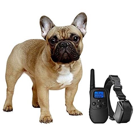 https://us.ftbpic.com/product-amz/exuby-shock-collar-for-small-dogs-with-remote-includes-2/41LQjMVhyML._AC_SR480,480_.jpg