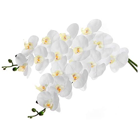 EZFLOWERY thumbnail