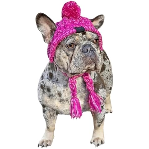 FABULOUS FIDO thumbnail