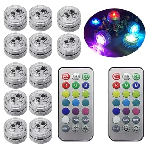 FANZOD feature image