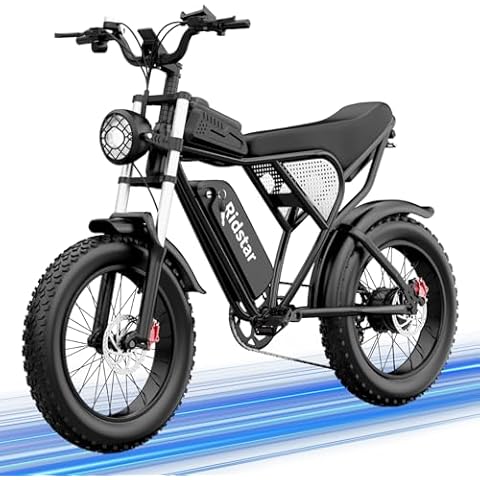 Fat Tires Electric Bikes