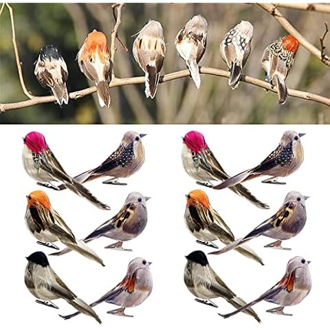 FBIRDY thumbnail