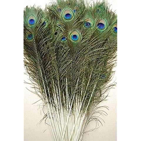 FeatherStore.com thumbnail
