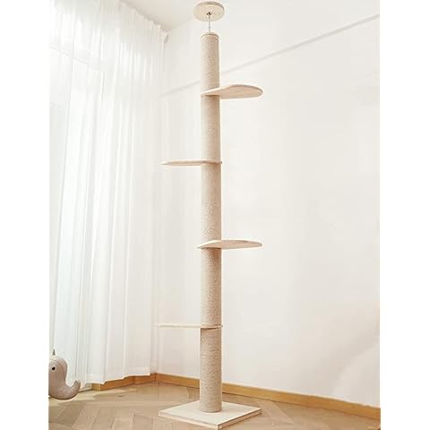 Felivecal feature image