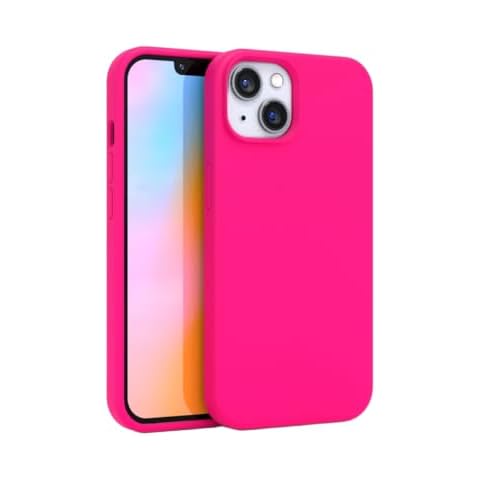 FELONY CASE thumbnail