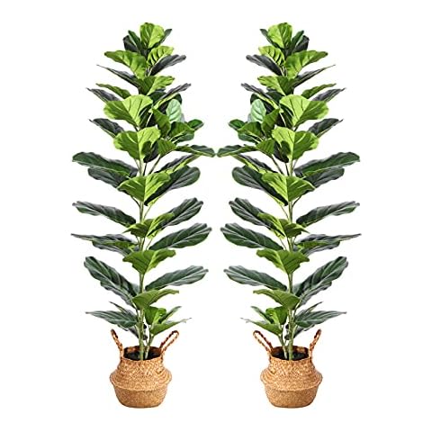 Ferrgoal Review of 2024 - Artificial Trees Brand - FindThisBest