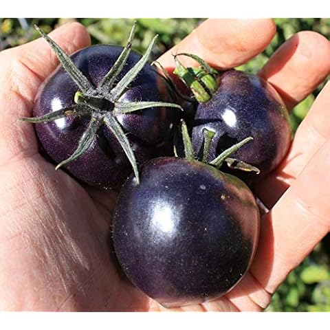 Fertile Ukraine Seeds thumbnail