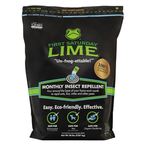 First Saturday Lime thumbnail