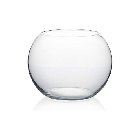 Fish Bowl Glass Vases