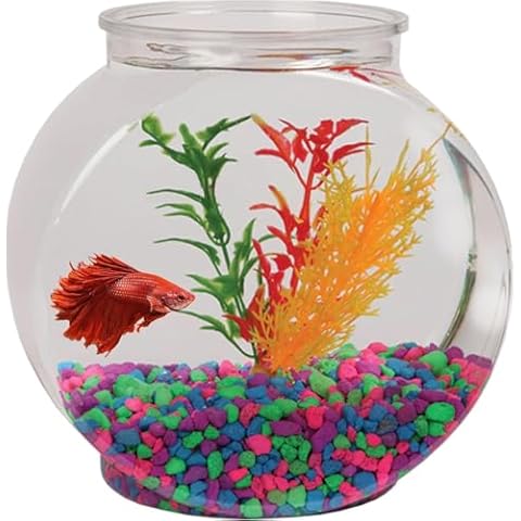 Fish Bowls