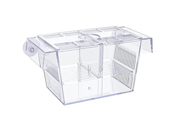 Fish Breeder Boxes thumbnail