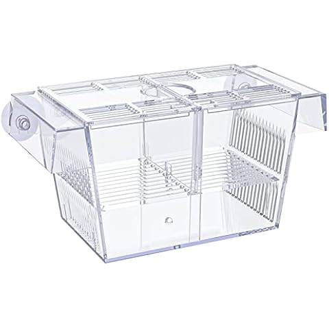 Fish Breeder Boxes
