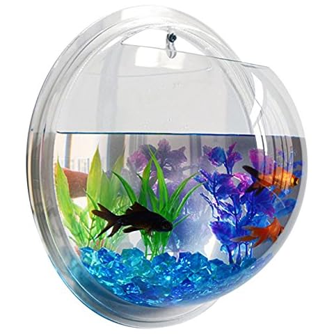 Fish Bubble thumbnail