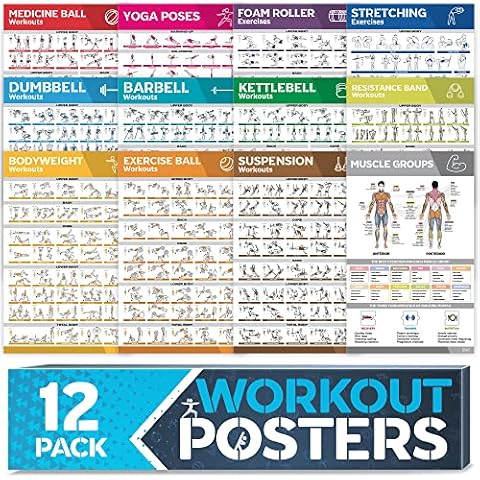 Fitness Wall Charts