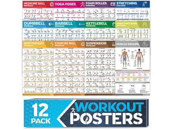 The 10 Best Fitness Wall Charts of 2024 (Reviews) - FindThisBest