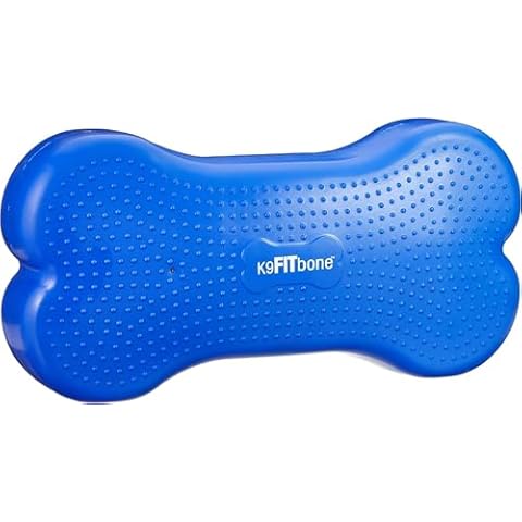 FitPAWS thumbnail